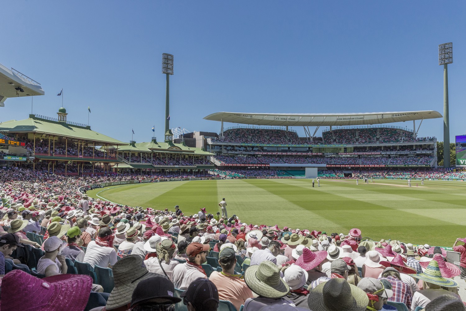 Sydney A city that will take every cricket lover's breath away 100MB